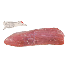 Eye Round, Fat and Skin Off