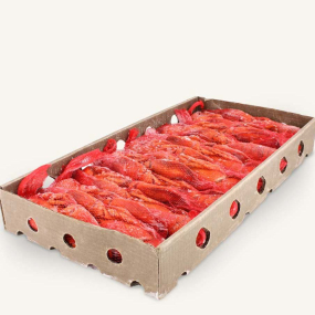 American Lobster - WR, Cooked