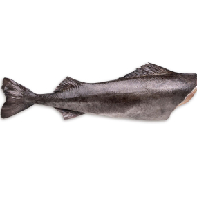 Sablefish