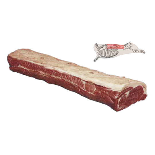 Striploin Chain-on